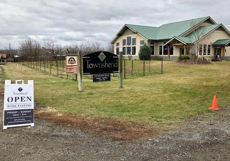 Everything You Need To Know About Getting A Christmas Tree On Green