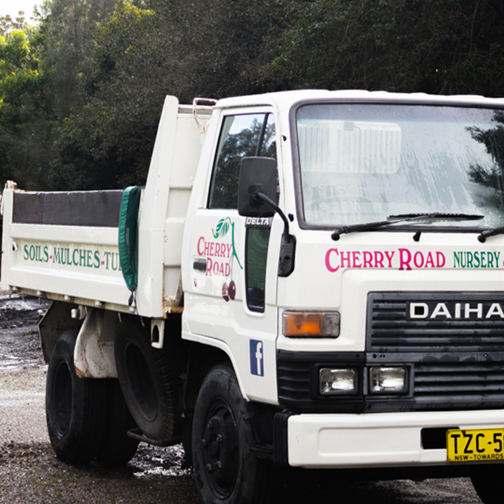 Gallery Cherry Road Nursery