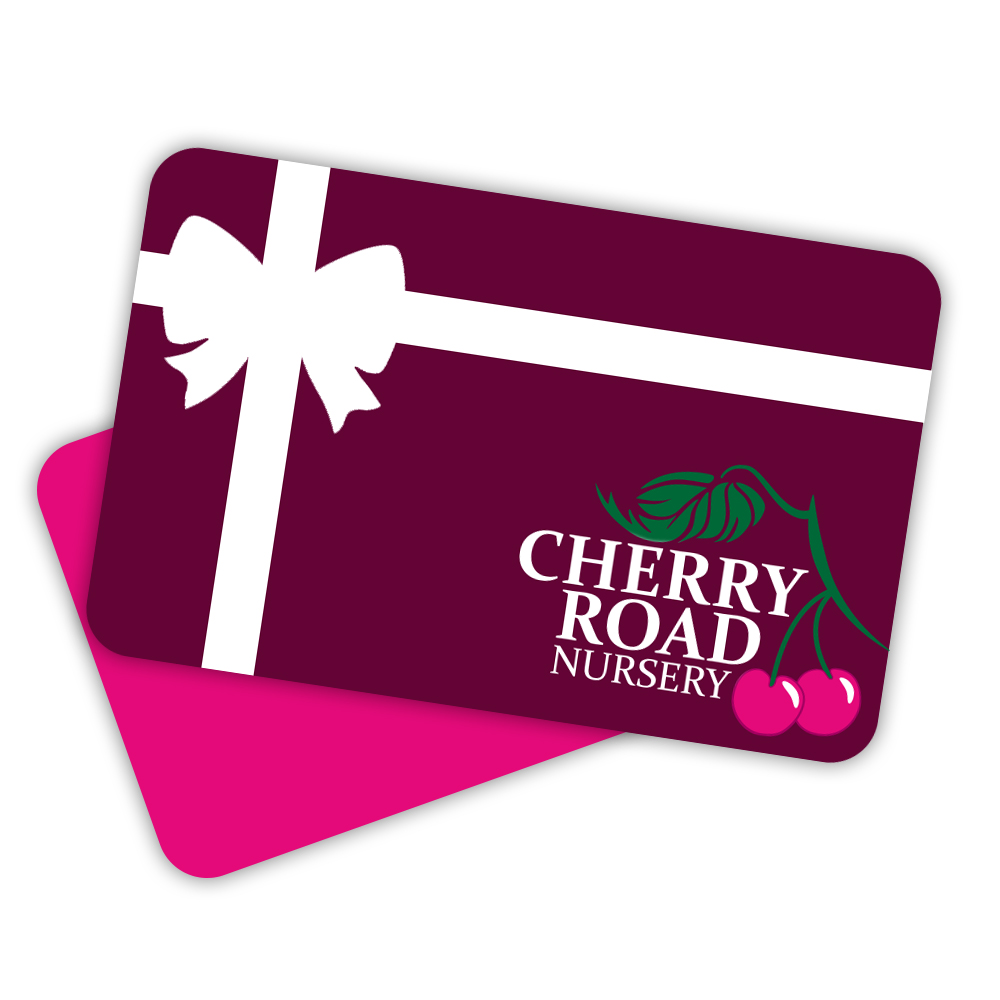 400 Gift Card Cherry Road Nursery