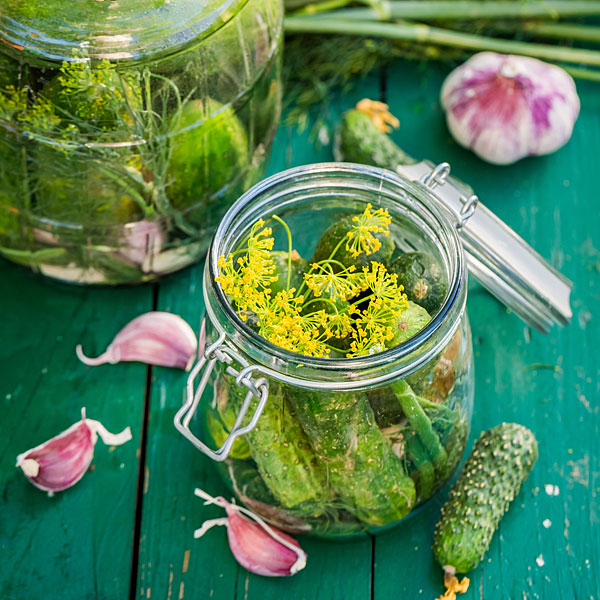 OldFashioned Crock Pickles Cheryl Wixson's Kitchen Maine Food on