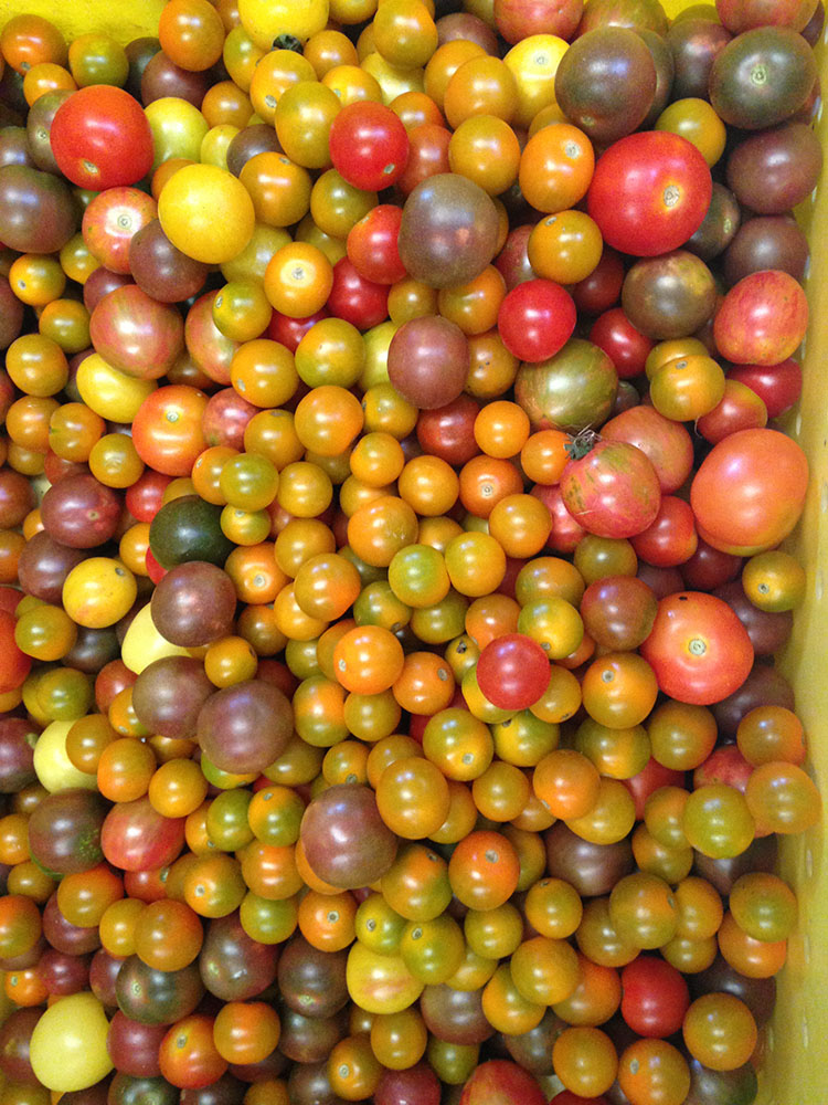 Chesapeake Farm to Table How It Works