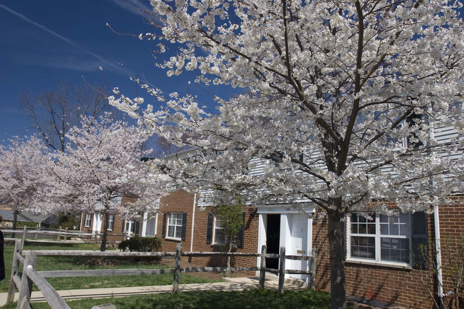 Kingsley Commons Townhomes Chesapeake Management Group