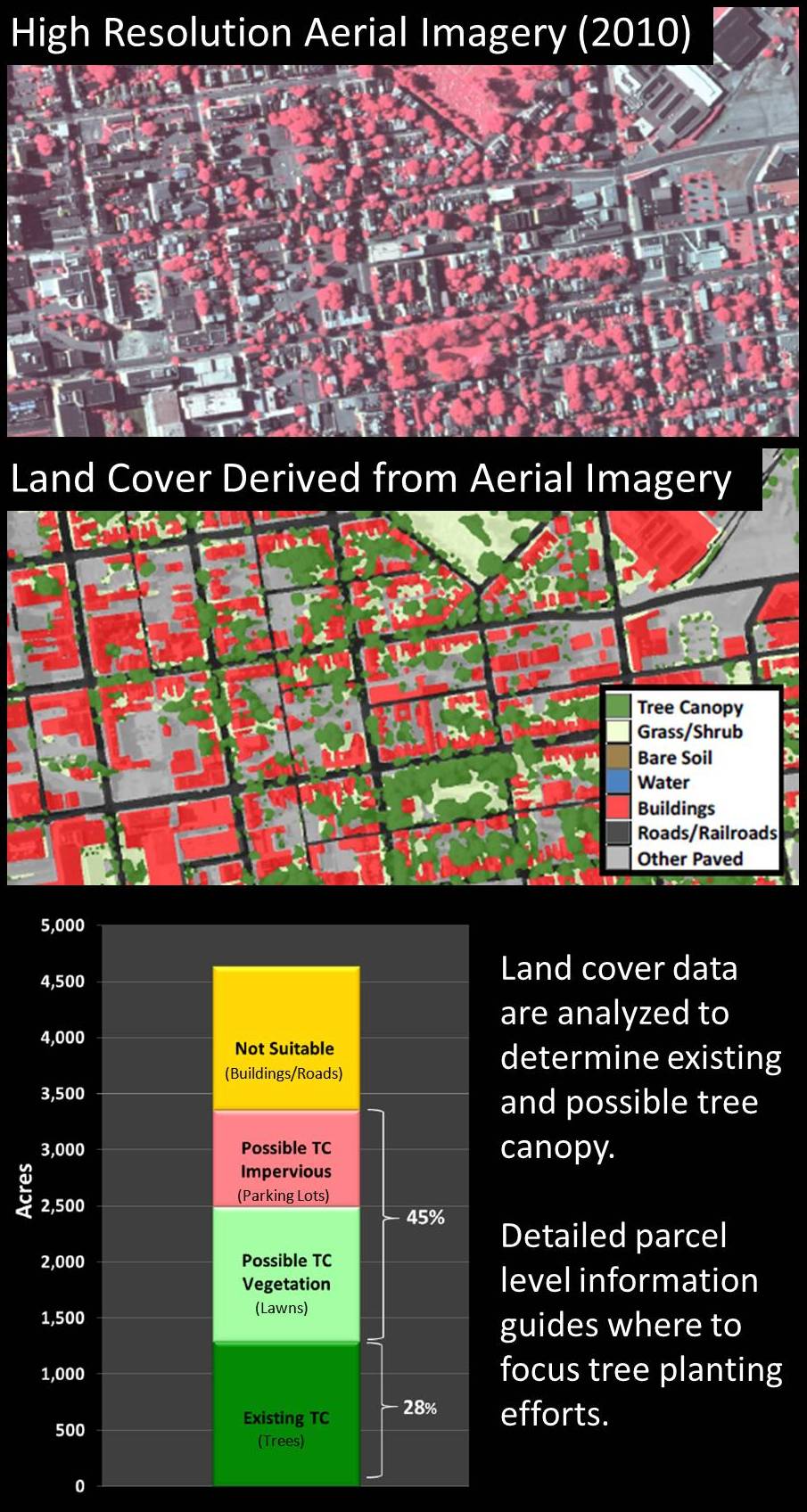 Understand your Canopy Chesapeake Tree Canopy Network