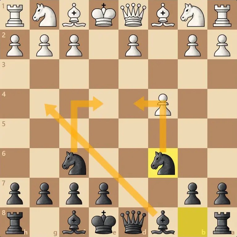 Our Next Course + The Ultimate Chess Openings Guide for Beginners