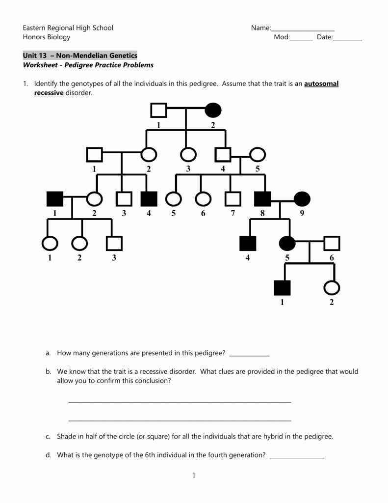 50 Genetics Problems Worksheet Answers