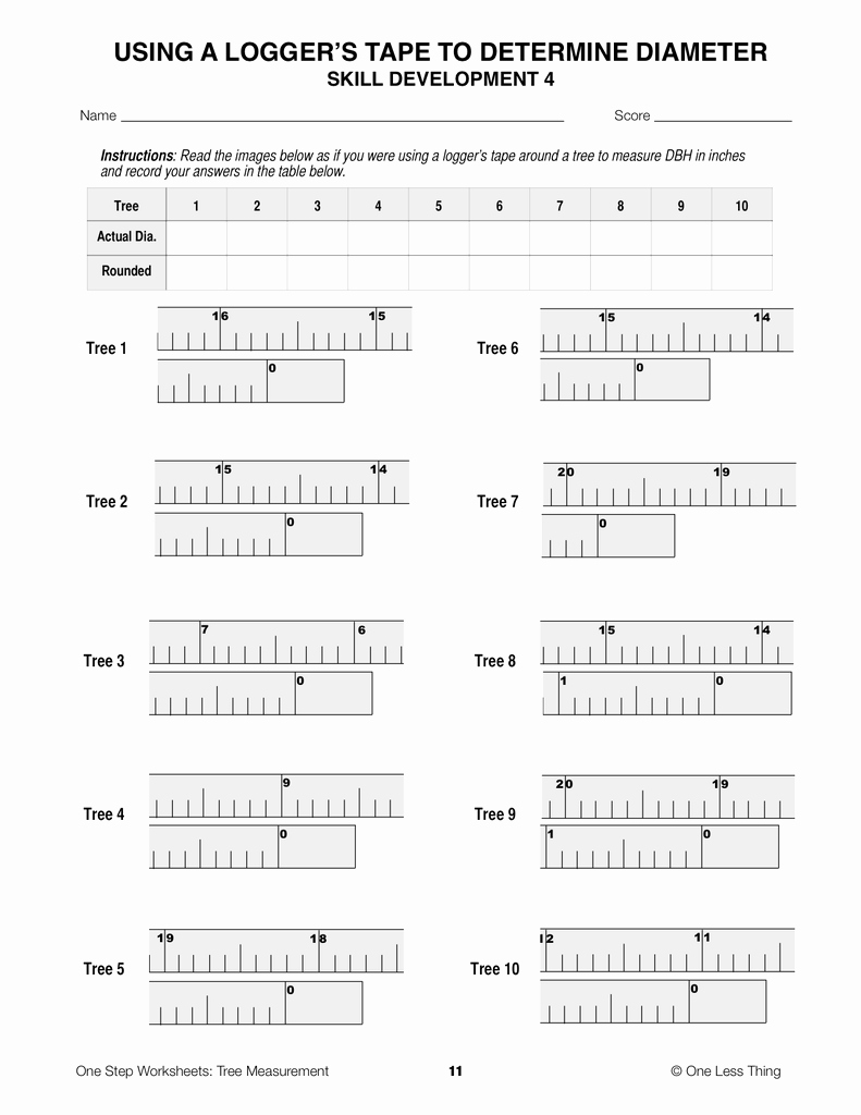 50 Reading A Ruler Worksheet Pdf Chessmuseum Template Library