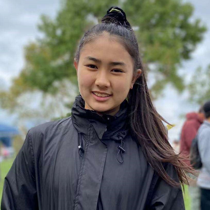 Chesspire Free Chess Classes for Students