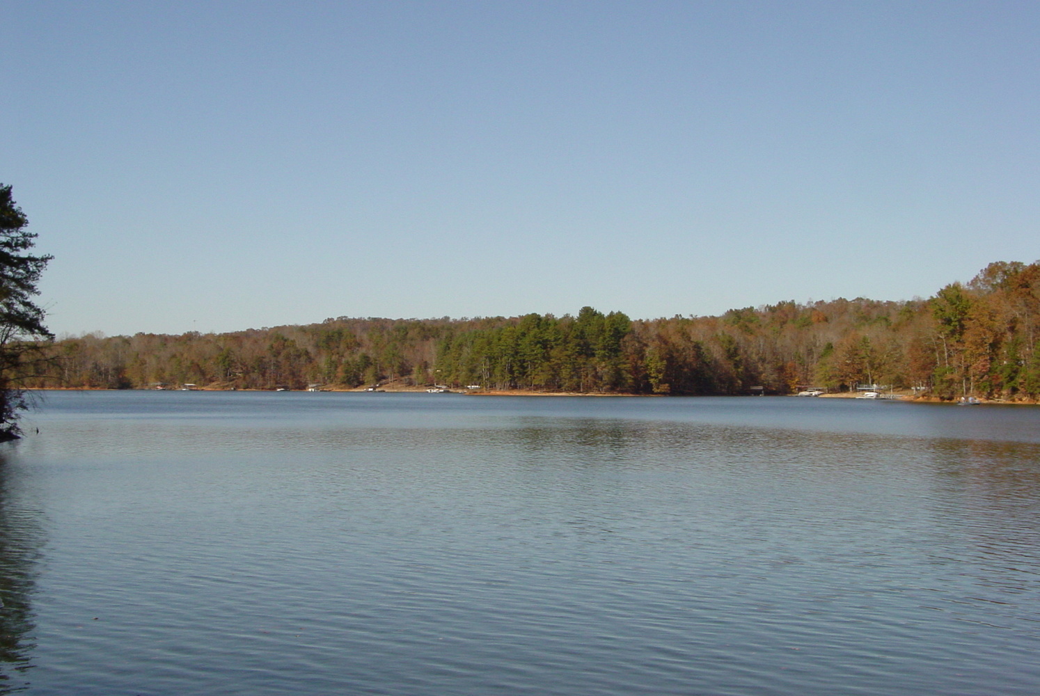 View our Amenities Chestatee Realty, LLC Dawsonville