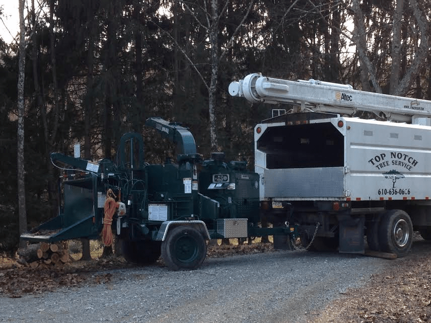 Downingtown, PA Brush Chipping Chester County Tree Services