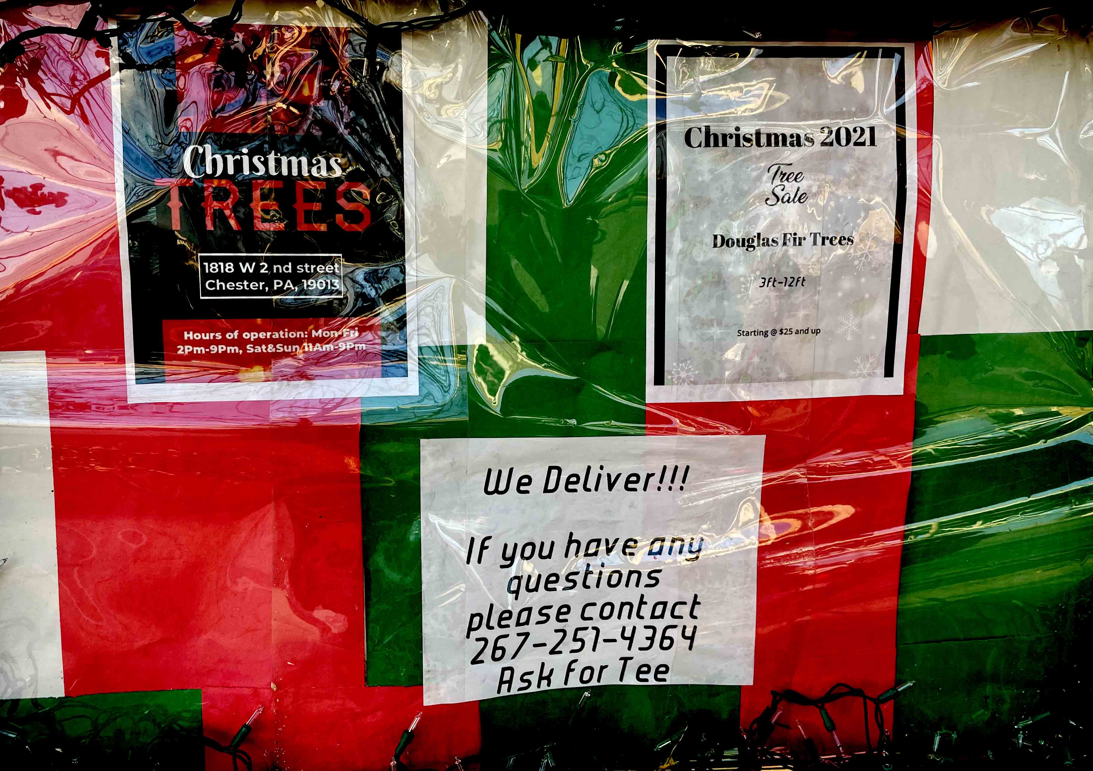 Chester Christmas Trees Chester Matters Blog