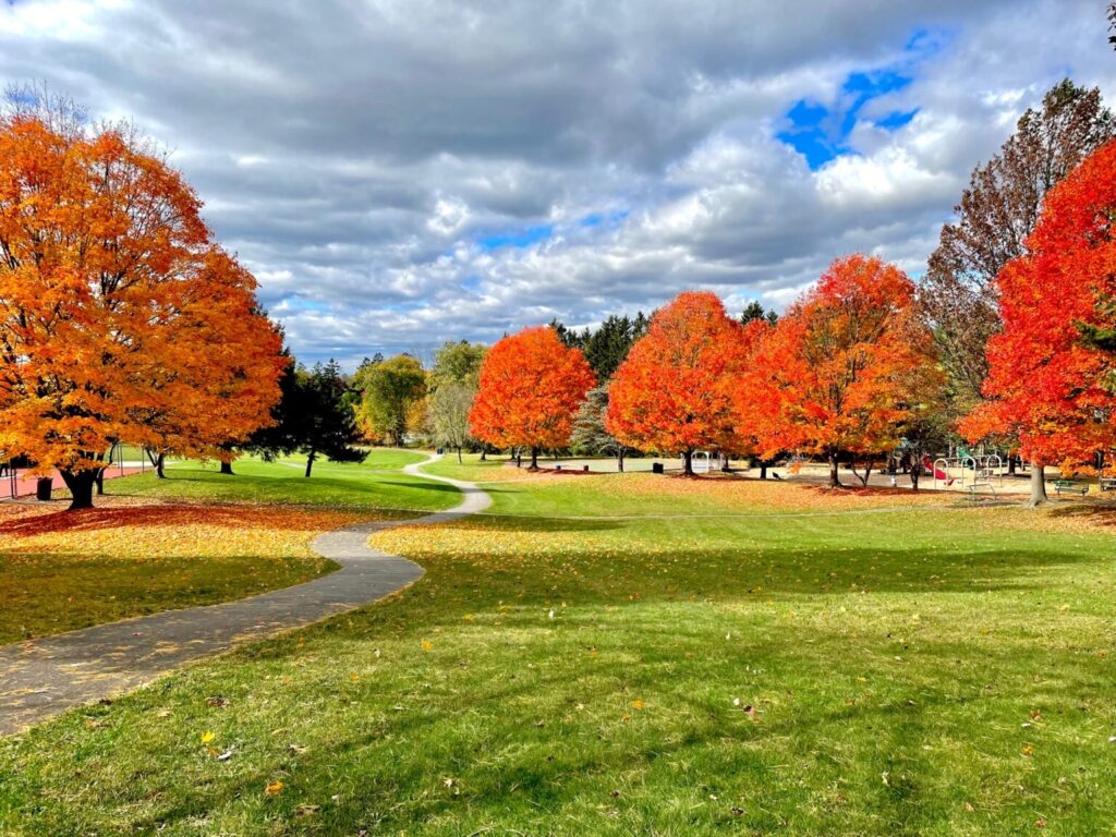 Parks Chester Recreation
