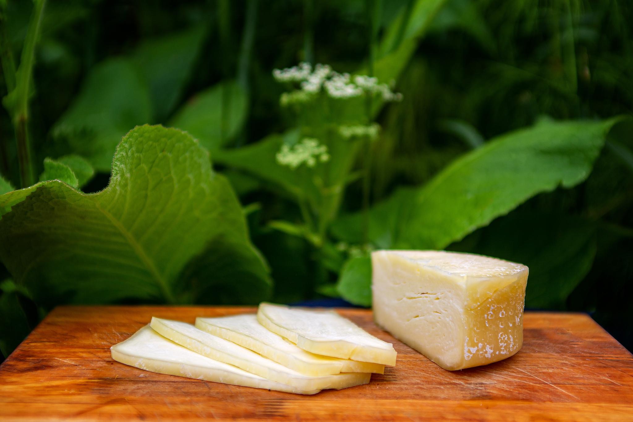 How To Bring Your Favorite Cheese On A Plane According To TSA CHESTER