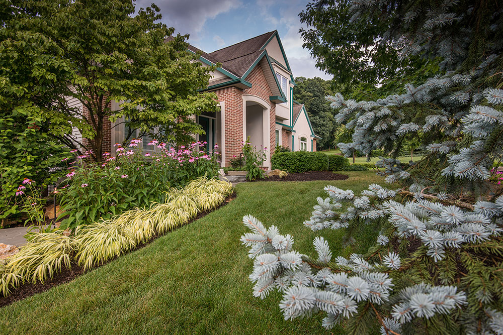 Our Work Chestnut Hill Landscape