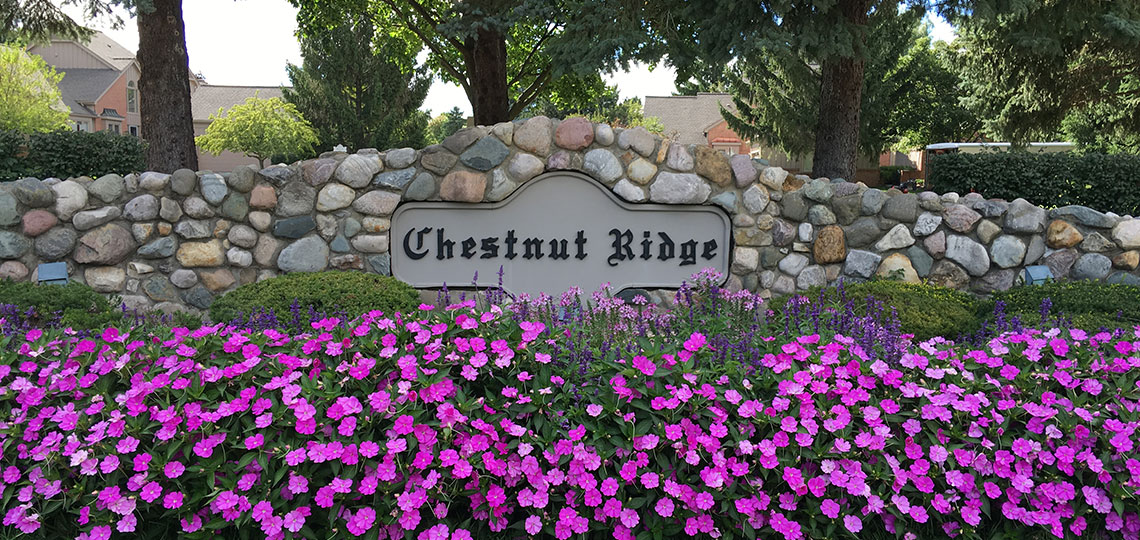 Community Chestnut Ridge Condominiums