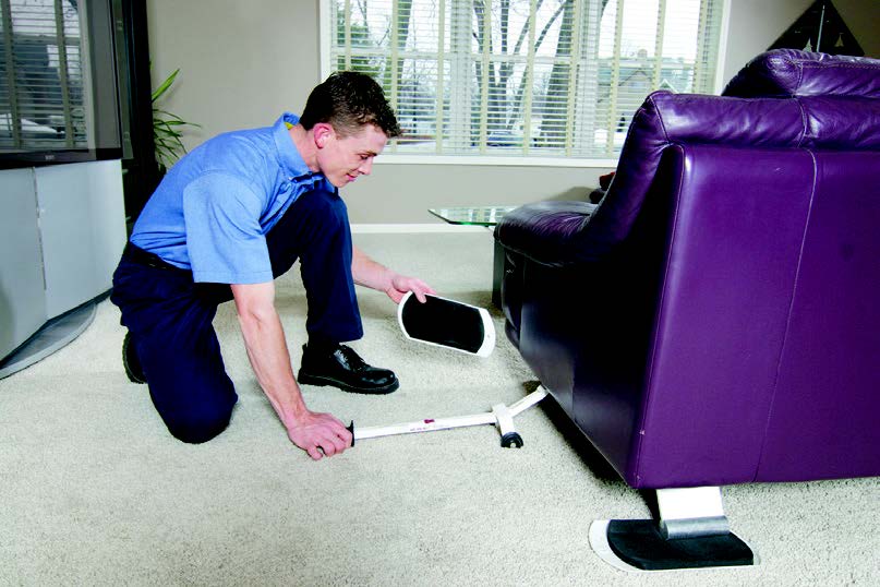 Carpet Cleaning Process Cleaners in Metro Detroit
