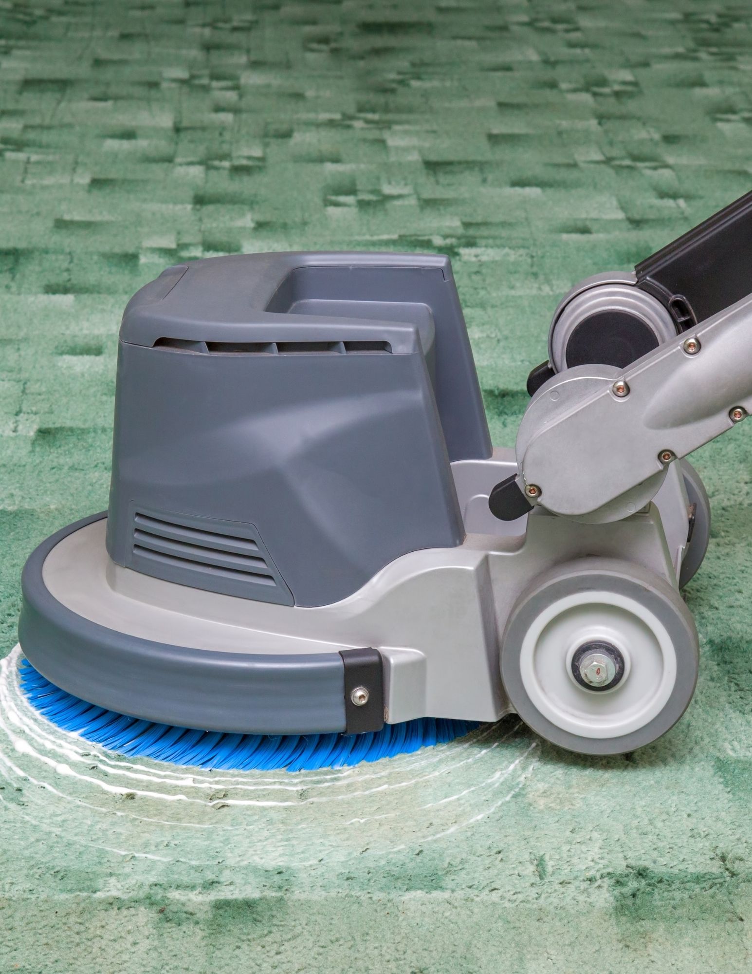 Area Rug Cleaning Service & Treatment Carpet Cleaners