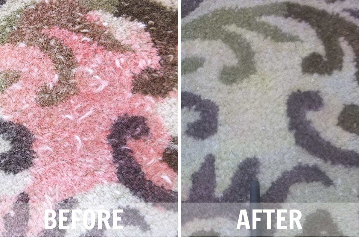 Rug Cleaning Before & After Photos Chet's Cleaning