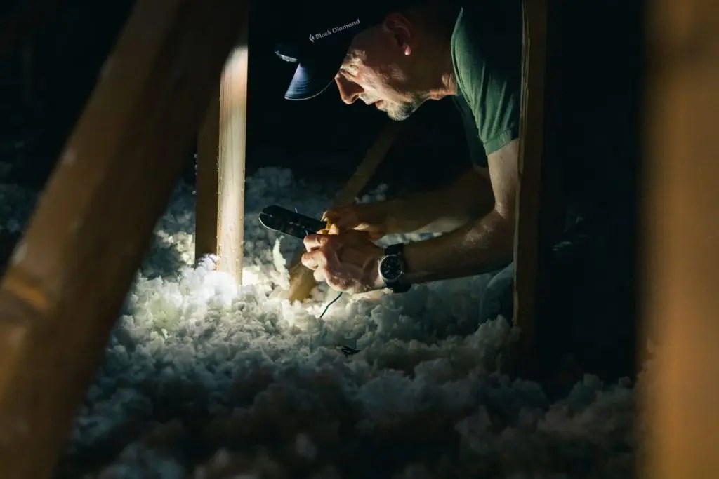 When to Call an Attic Pest Control Company