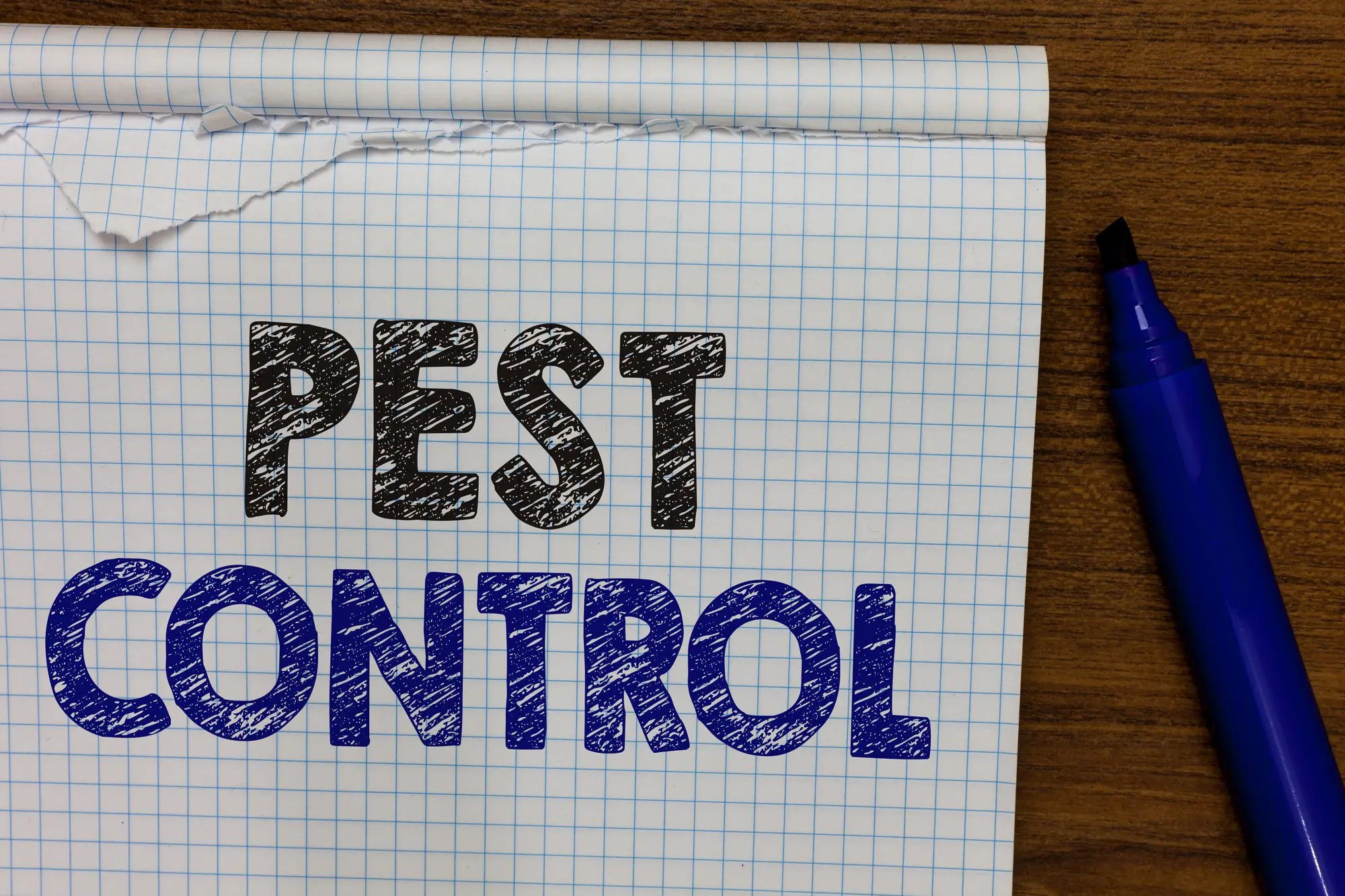 Natural Pest Control The Advantages of EcoFriendly Pest Management