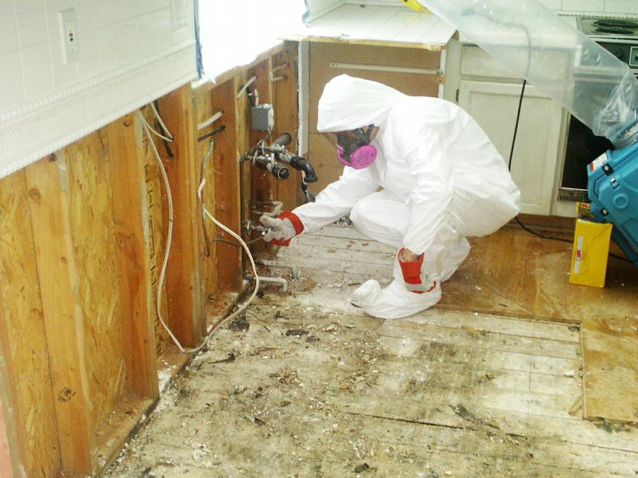 Water Damage Chevy Chase Exteriors