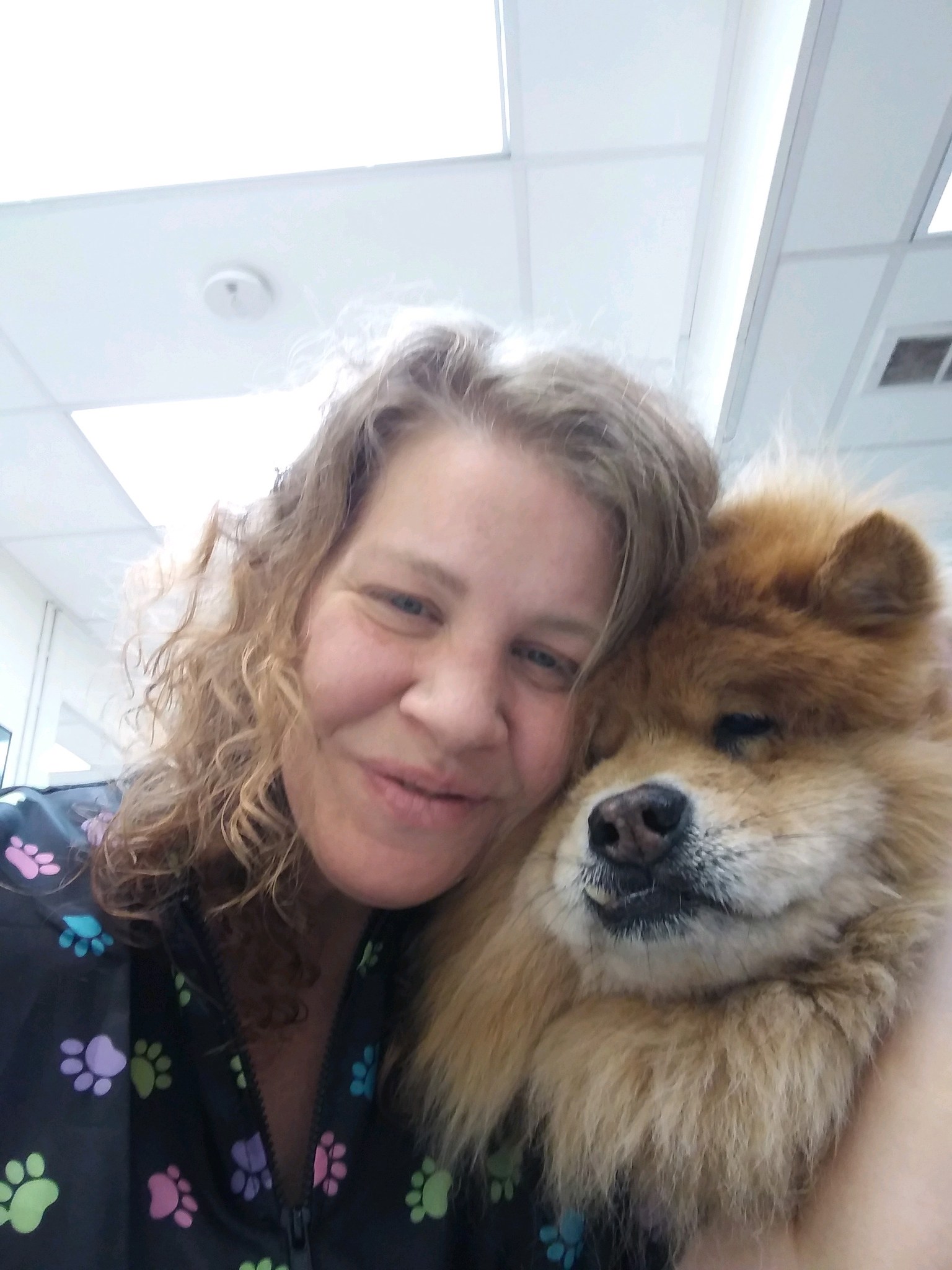 Chevy Chase Veterinary Clinic Veterinarian In Chevy Chase, Kensington