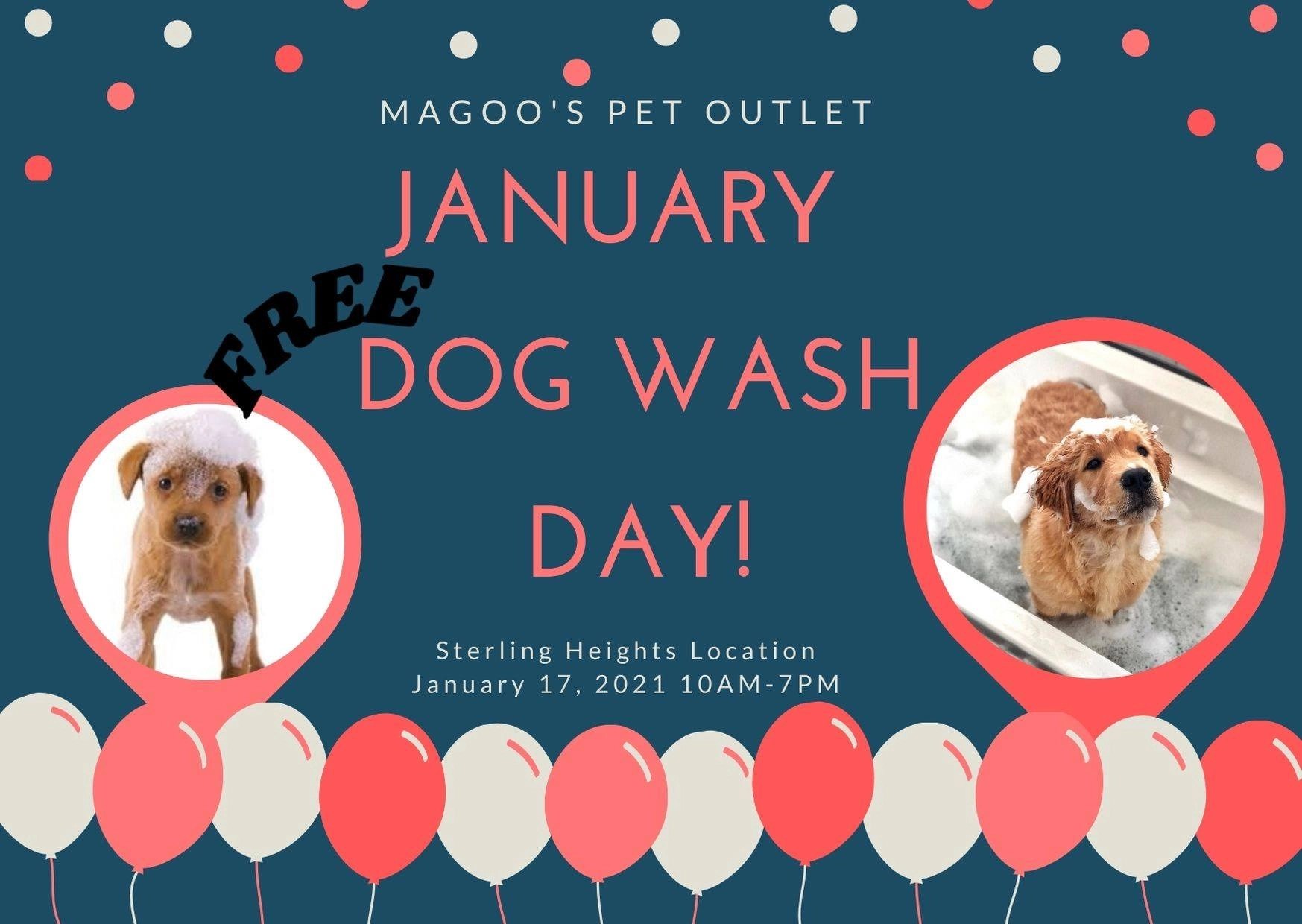 January Free Dog Wash Day Chevy Detroit