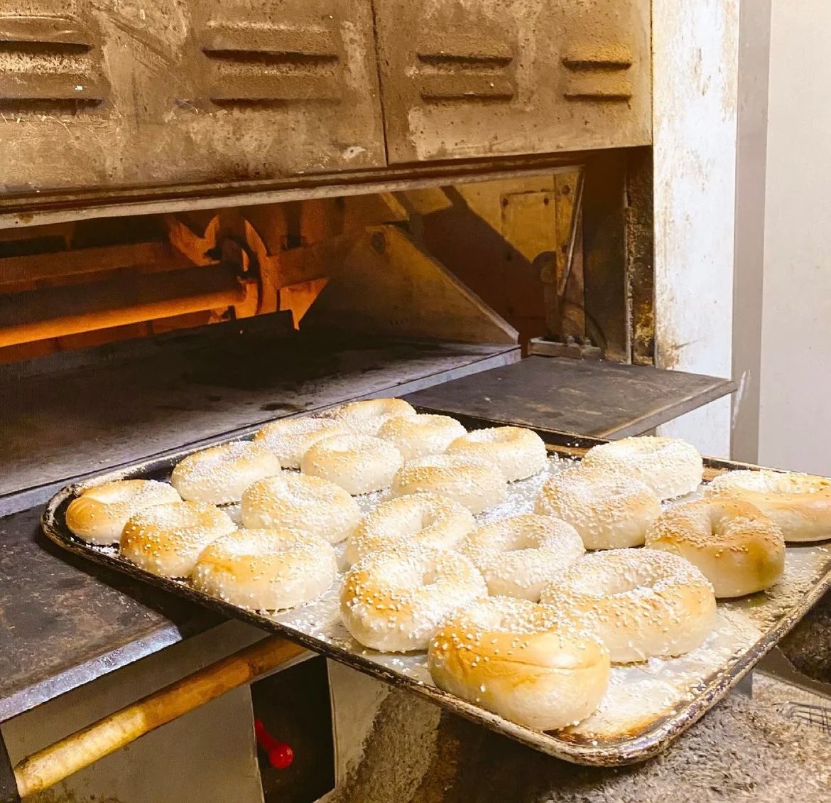 Metro Detroit's Freshest Bagels Chevy Detroit