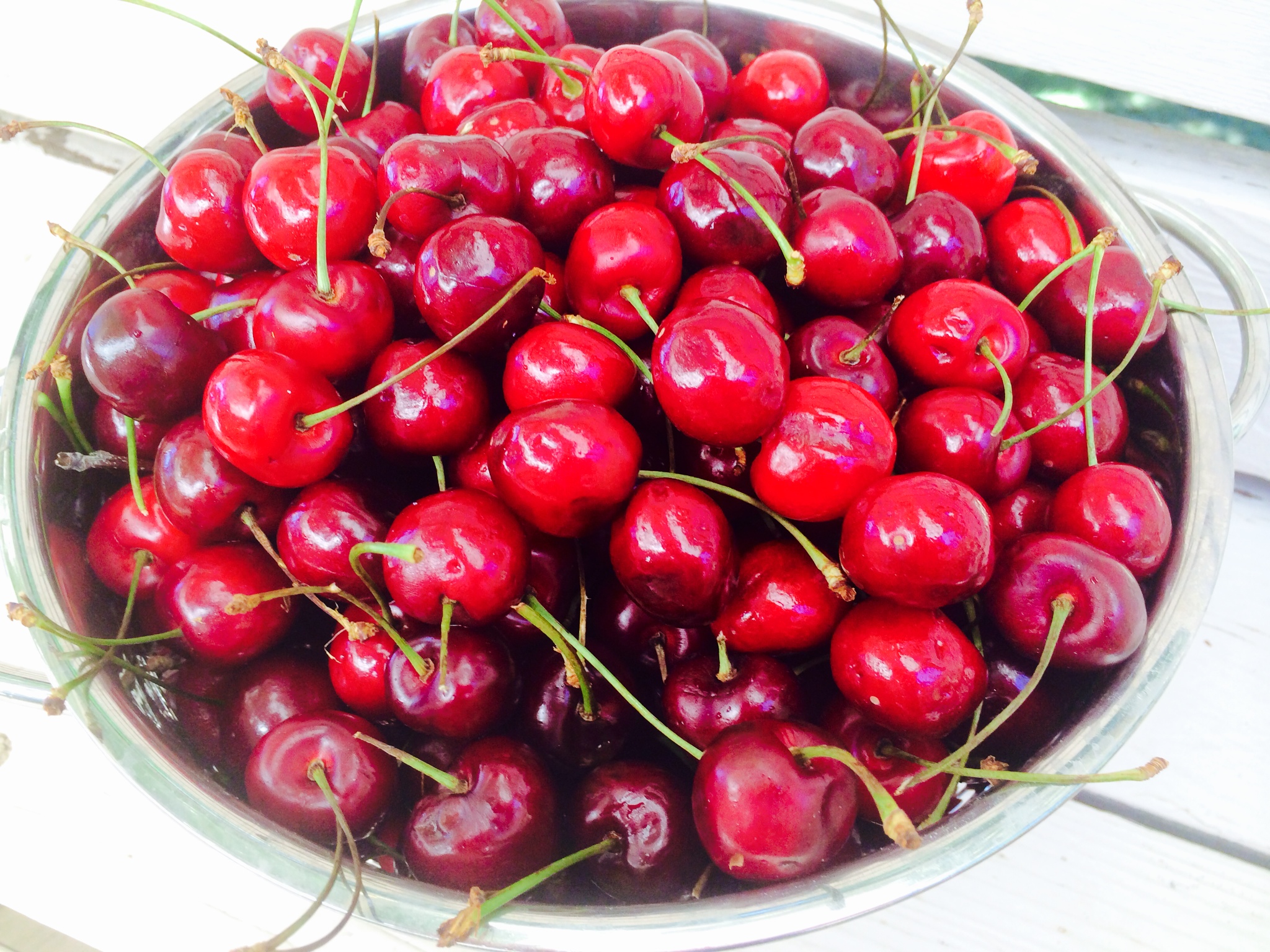 Utah's Famous Fruitway