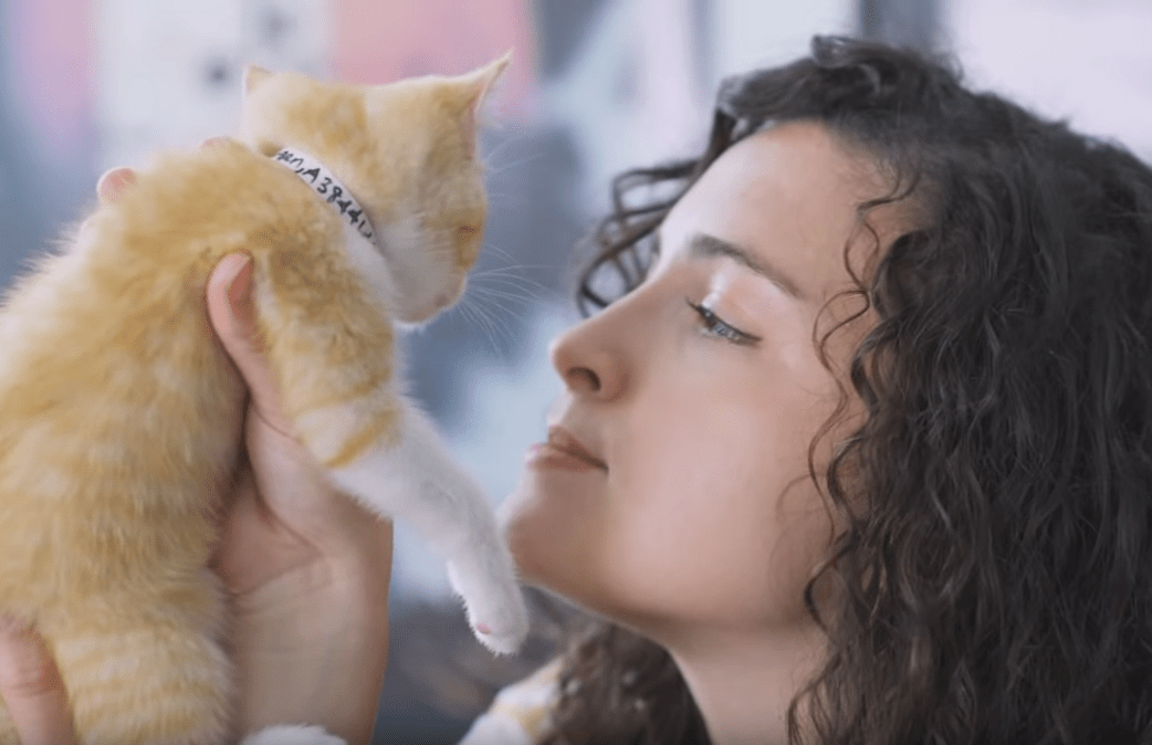 FeelGoodFriday What fostering kittens does to your brain Chew On This