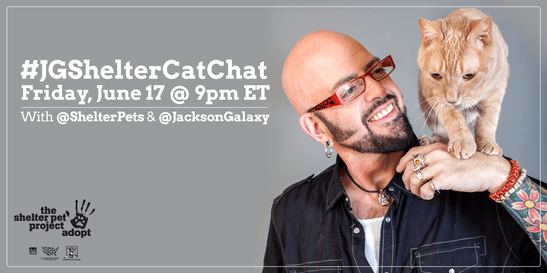 Celebrate Adopt a Shelter Cat Month on Twitter with Jackson Galaxy and