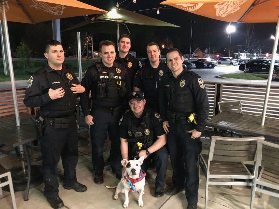 Louisville shelter teams up with local police to get dogs out into the