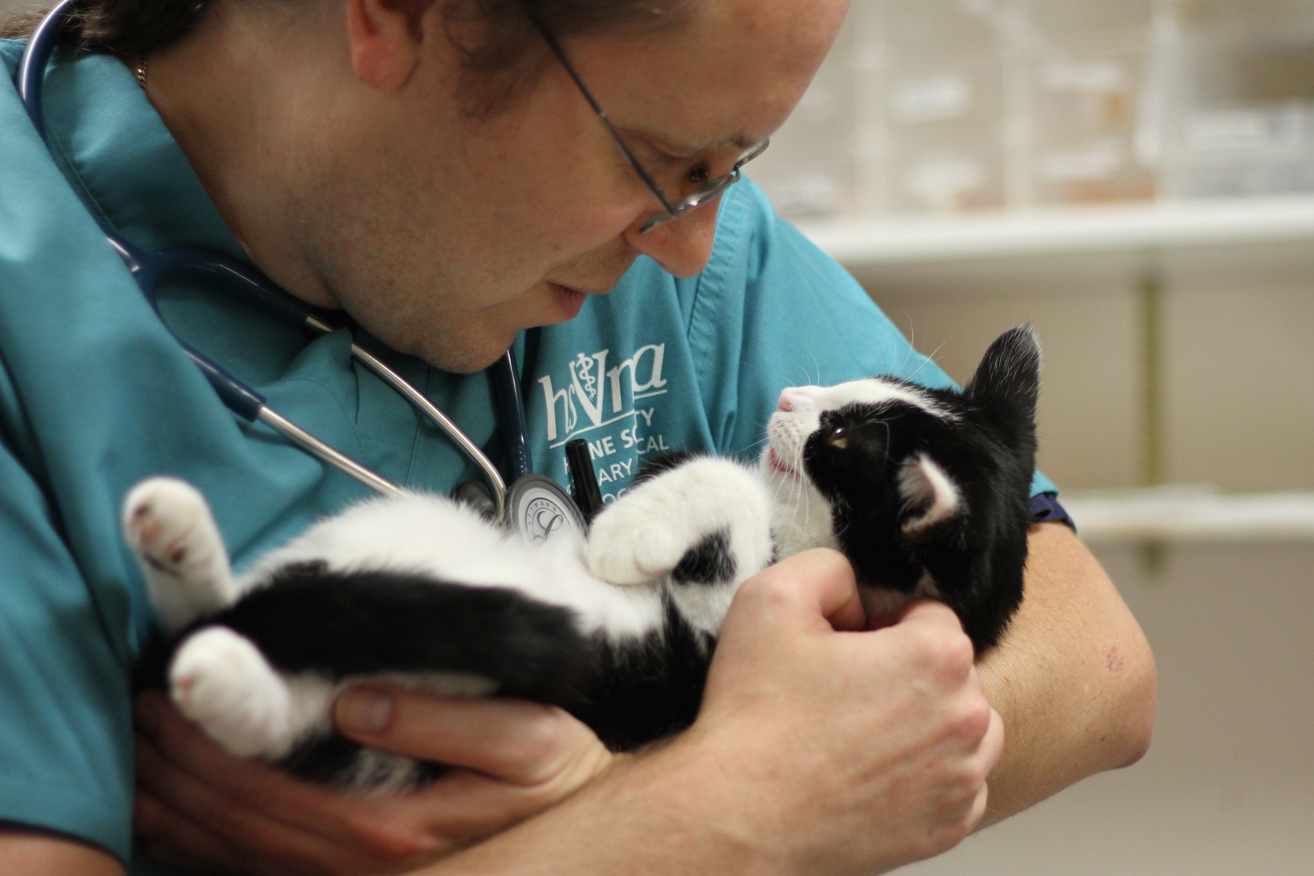 Today’s veterinary students say they want to be tomorrow’s shelter