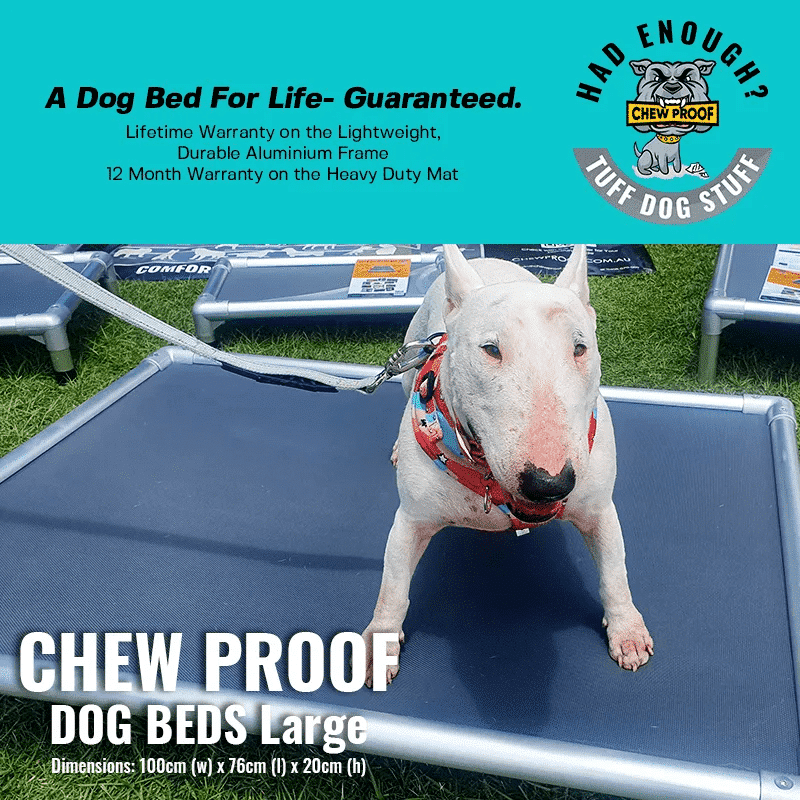ChewProof Dog Beds Best Indestructible Beds in Australia