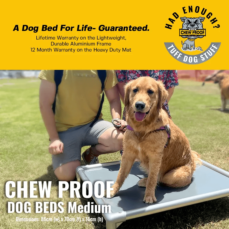 ChewProof Dog Beds Best Indestructible Beds in Australia