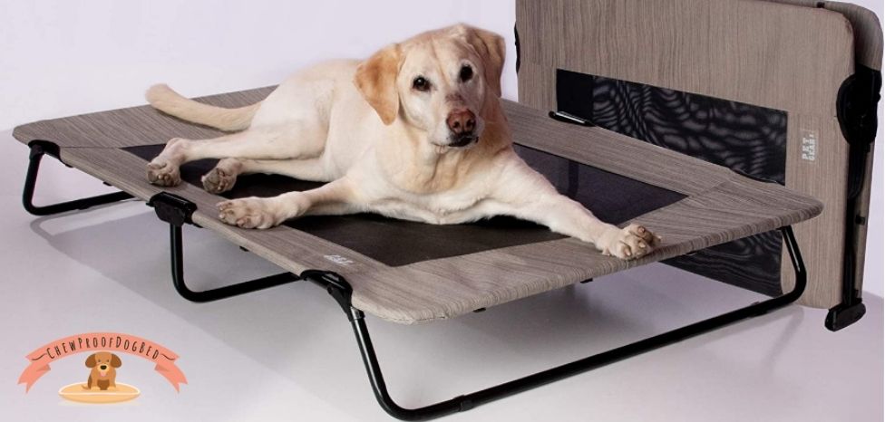 Chew Proof Dog Bed 10+ Indestructible Dog Beds in 2022