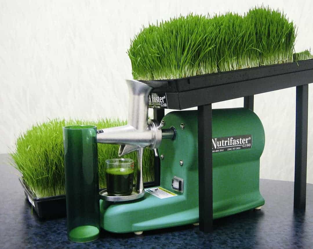 Best Wheatgrass Juicer 2017 Reviews & Buyer’s Guide (March. 2018)