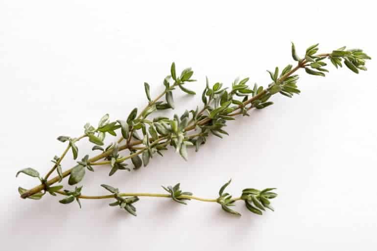 How Big is a Sprig? Types of Herbs and the Measures