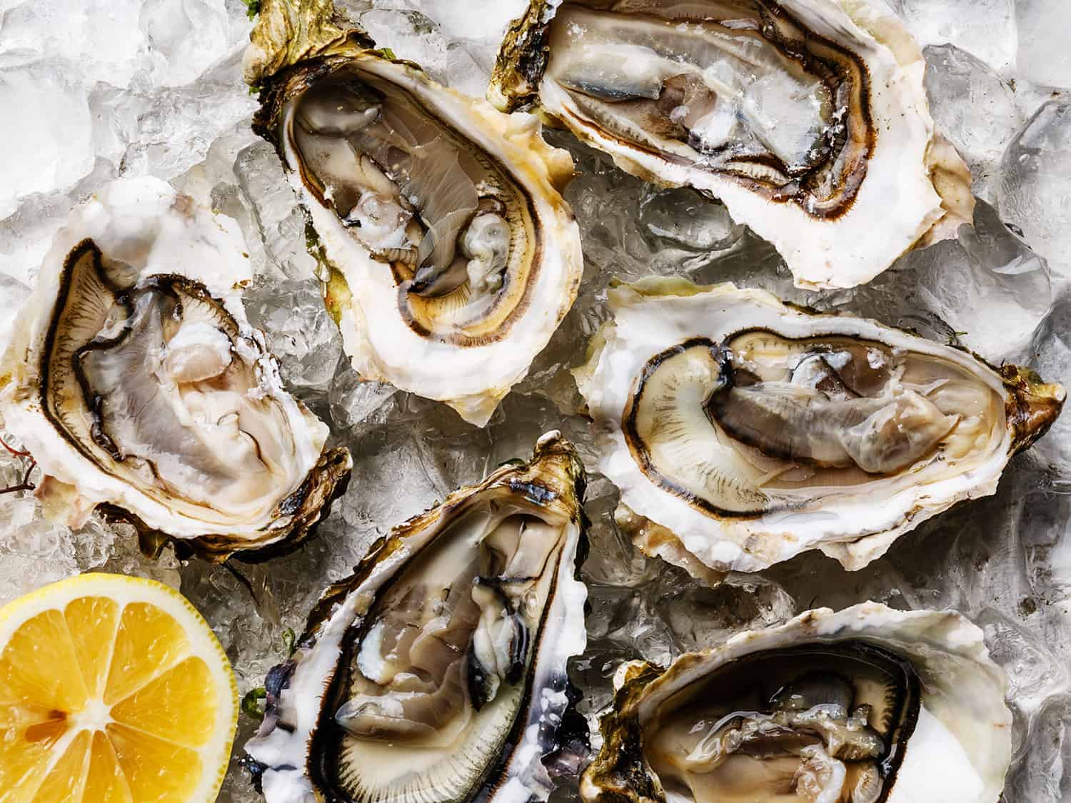 How Long do Oysters Last on Ice? Tips plus Recipe