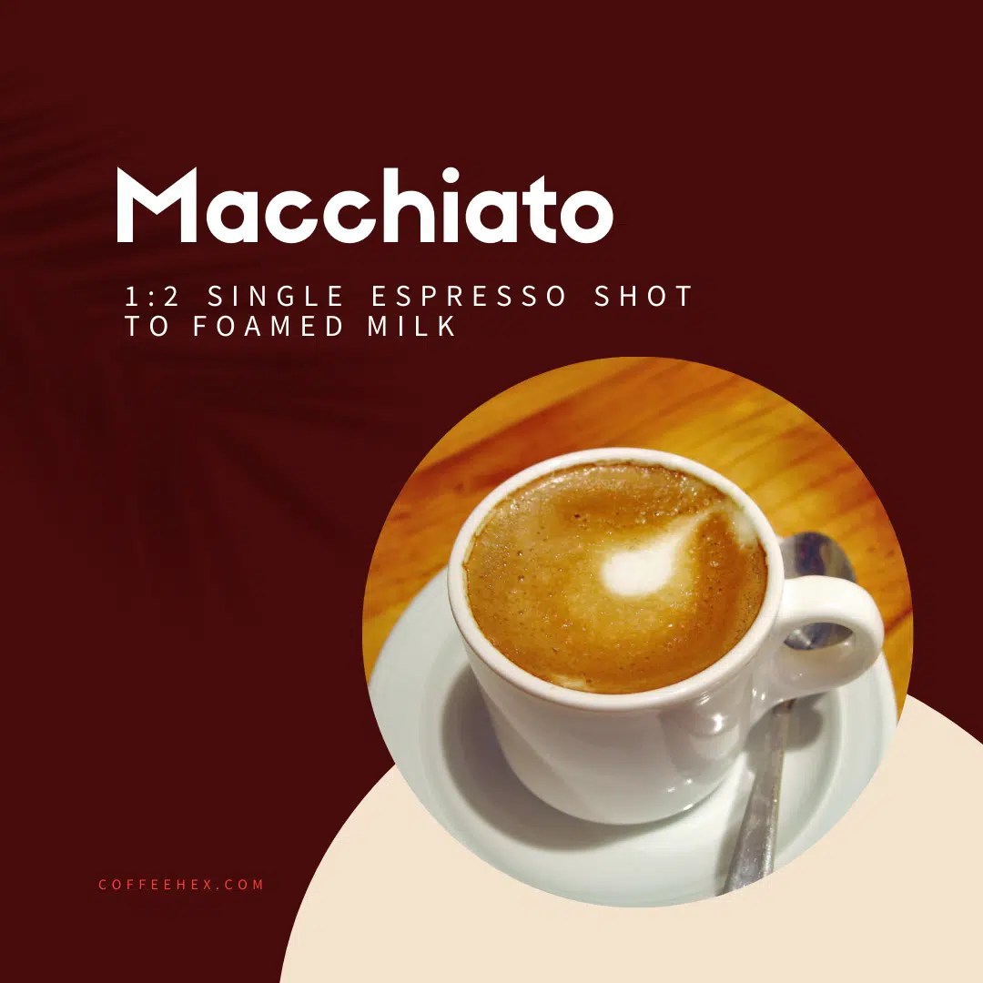 Complete Guide To Different Types Of Coffee Drinks, Beans, And Roasts