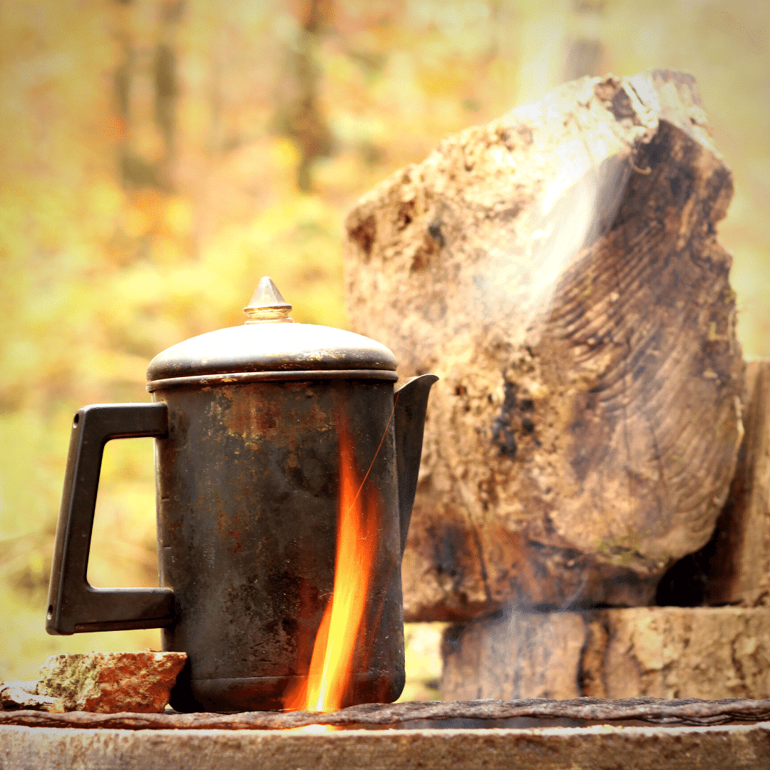 French Press Vs Percolator Which Brews Your Perfect Coffee?