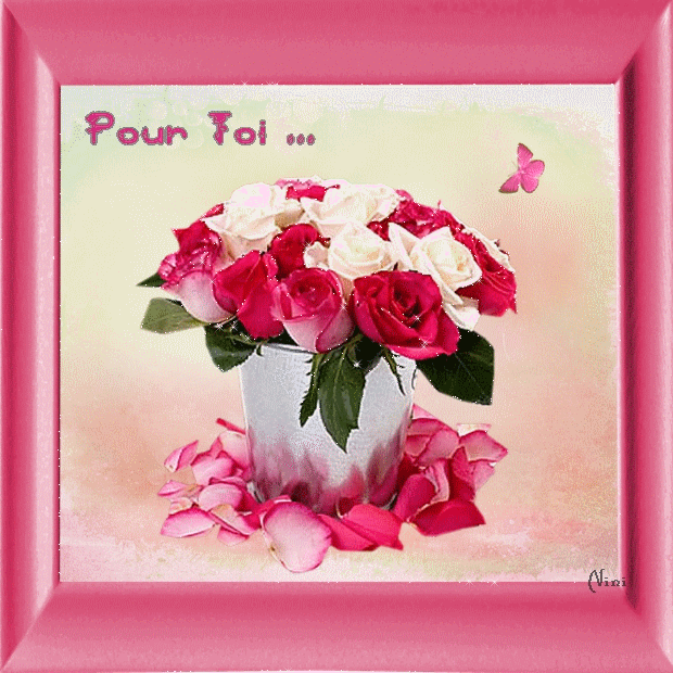 fleurs roses en images