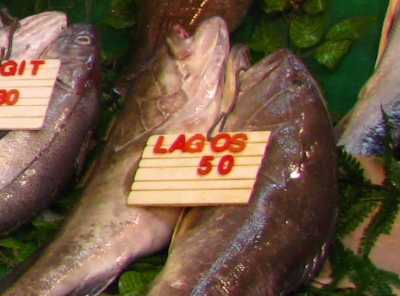 Fisch aus dem Bosporus (2) Chez MatzeChez Matze