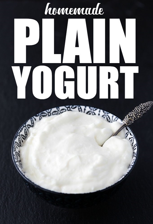 Homemade Plain Yogurt recipe Chefthisup