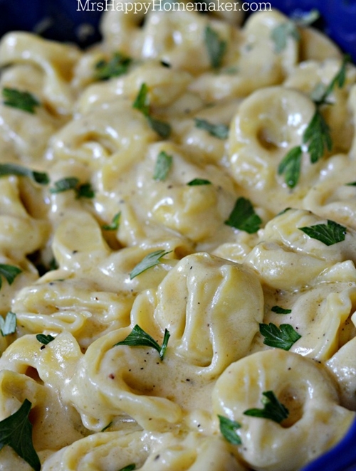 Easy Roasted Garlic Alfredo Tortellini recipe Chefthisup