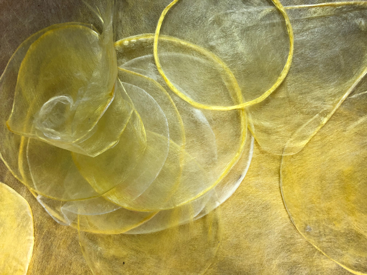 Sericulture The Art of Raising Silk Worms to Produce Silk