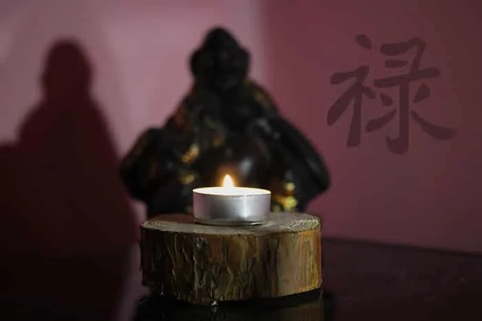 Feng Shui Money Corner in Living Room (Wealth Corner) Law of