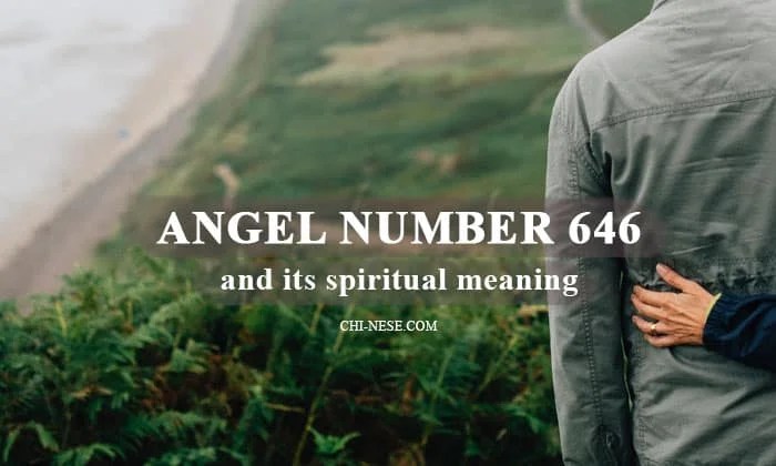 Angel Number 646 and Its Spiritual Meaning What does 646 Mean?