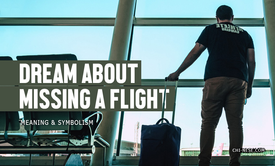 Dream About Missing A Flight (Meaning & Symbolism) What Does It Mean?