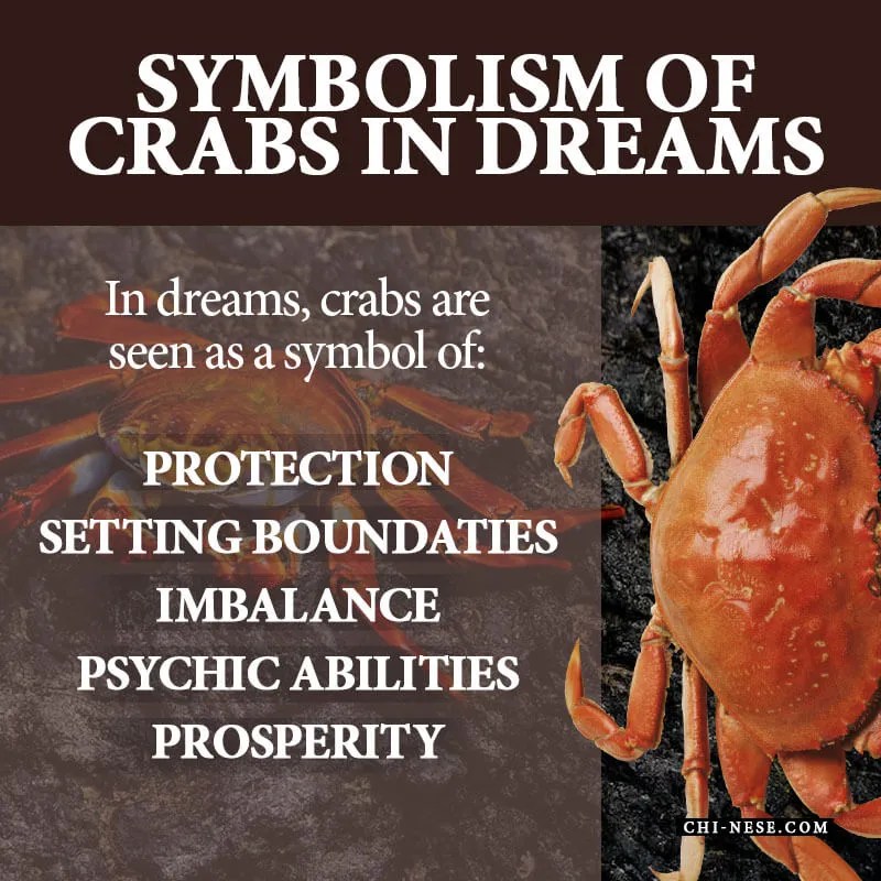 Dream About Crabs Spiritual Meaning & Hidden Message of The Dream