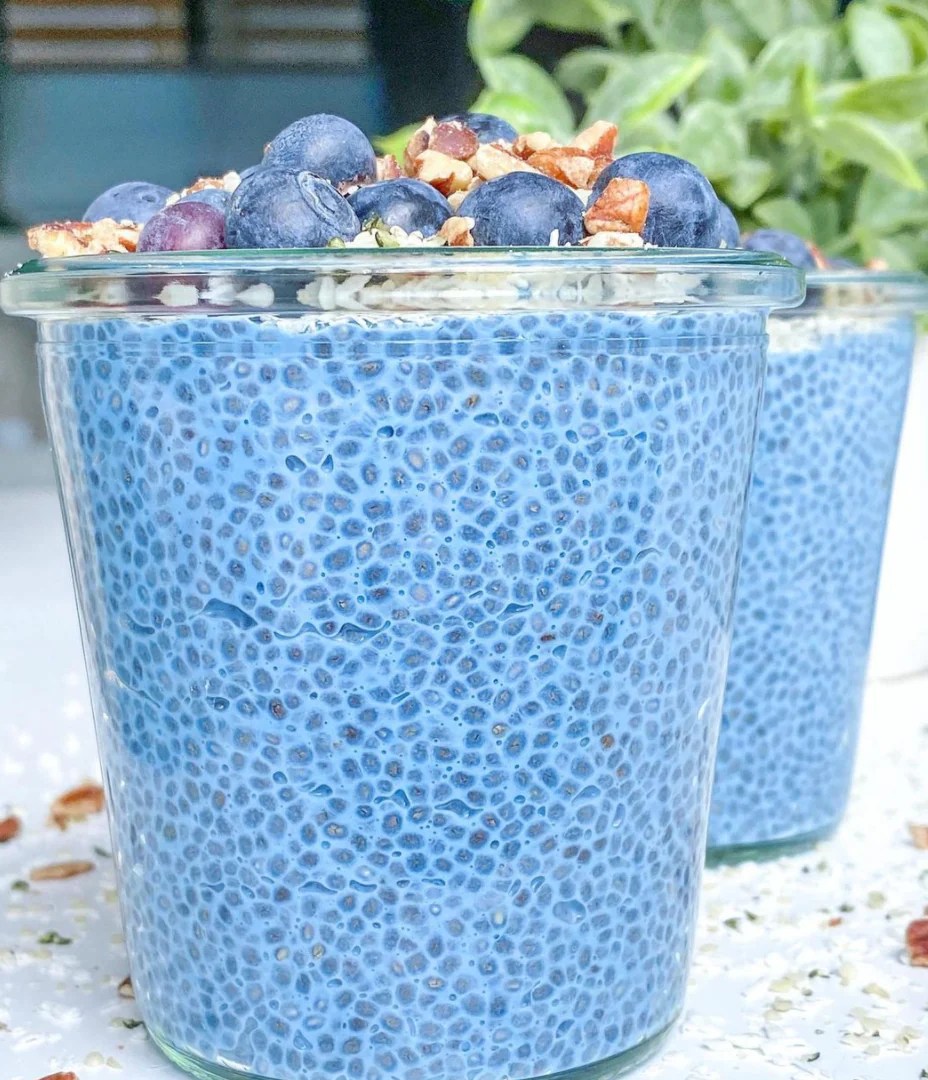 Blue Spirulina Chia Seed Pudding (Paleo, Vegan, SugarFree*) Chia